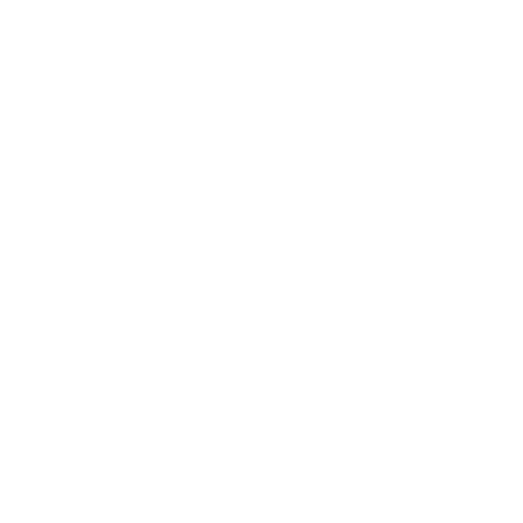 EGM Safety